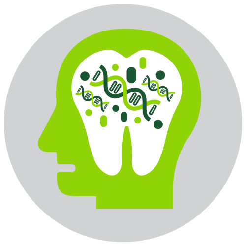 Craniofacial Development & Genetics